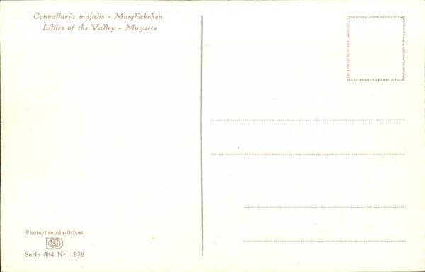 Verlag Photochromie Nr. 1972 Serie 684 Maiglöckchen – Bild 2
