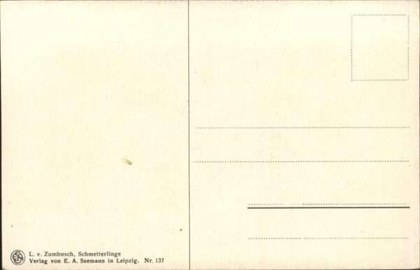 Kuenstlerkarte Nr. 137 L.v. Zumbusch Schmetterlinge – Bild 2