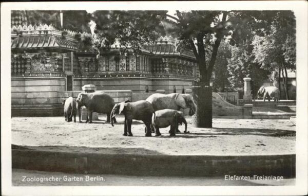 Zoo Berlin Elefanten-Freianlage