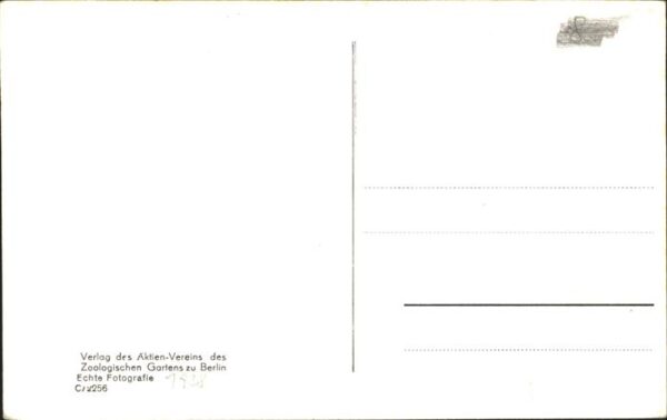 Zoo Berlin Elefanten-Freianlage – Bild 2