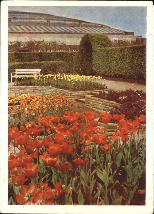 Bundesgartenschau Dortmund Tulpen Westfalenhalle