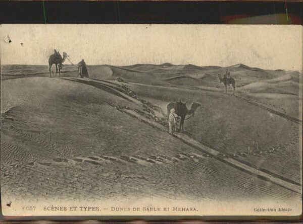 Typen Dunes de sable Mehara Kamele