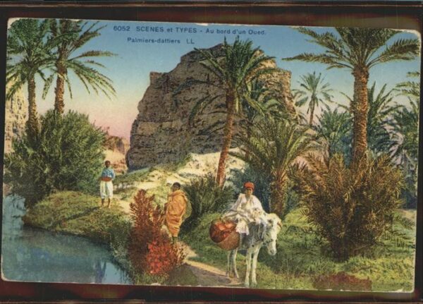Typen Marokko Oued Palmiers dattiers Esel
