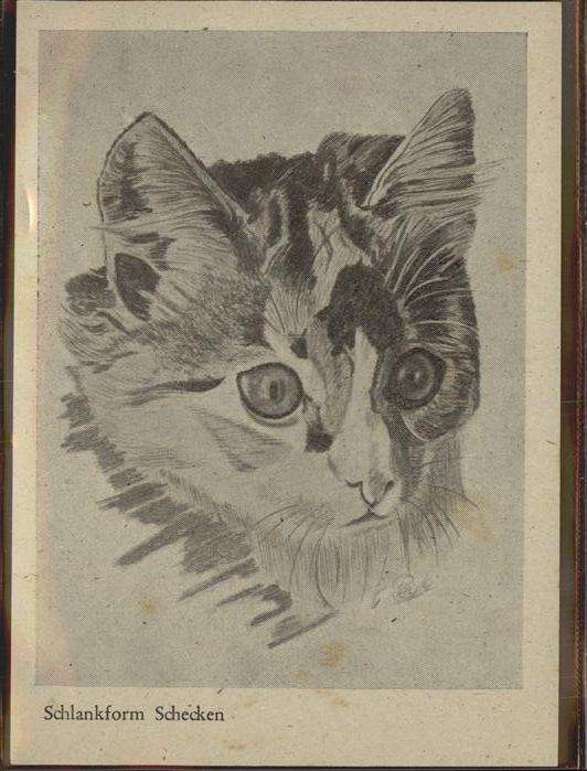 Peyk G Schlankform Schecken Katze