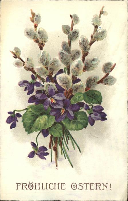 Blumen Weidenkätzchen Veilchen