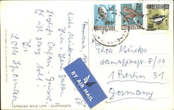 Elefant Tanzania – Bild 2