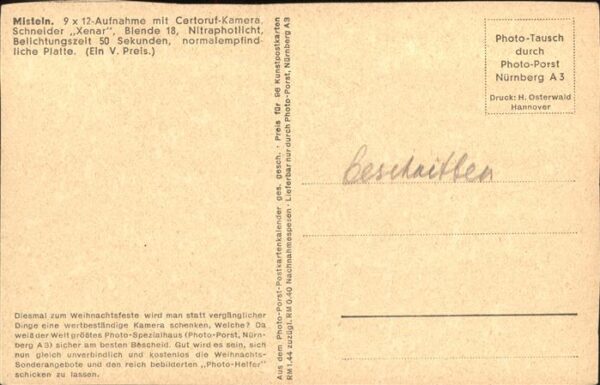 Pflanzen Misteln – Bild 2