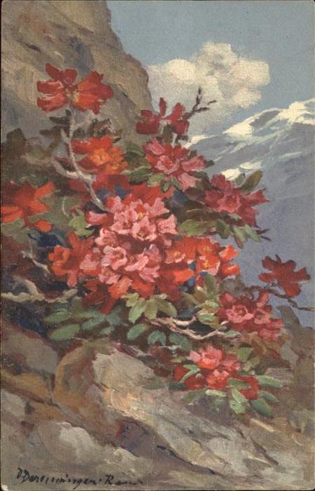 Blumen Alpenrosen Rhododendron