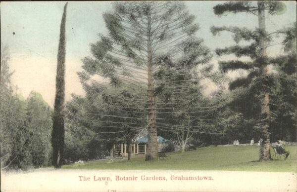 Baeume Trees The Lawn Botanic Gardens Grahamstown