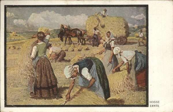Ernte Landwirtschaft Hosse
