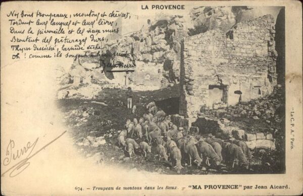 Schafe La Provence moutons Raux Jean Aicard