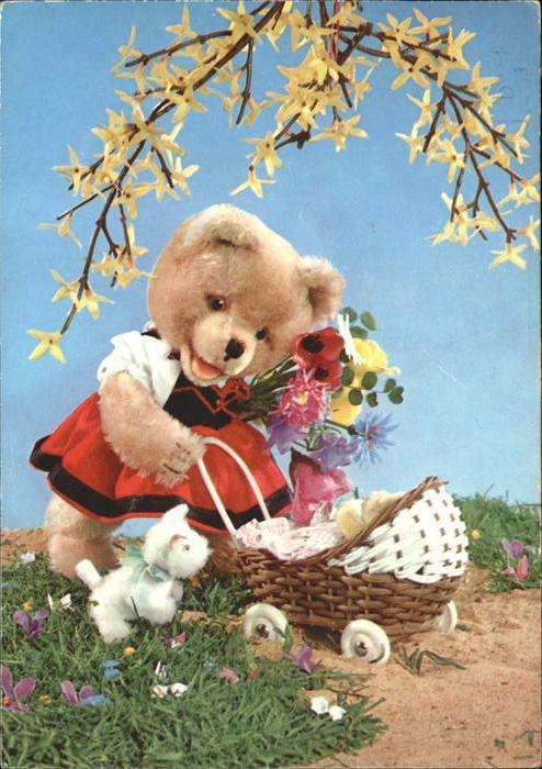 Teddy Teddybaer Teddy-bear vermenschlicht Kinderwagen Hund