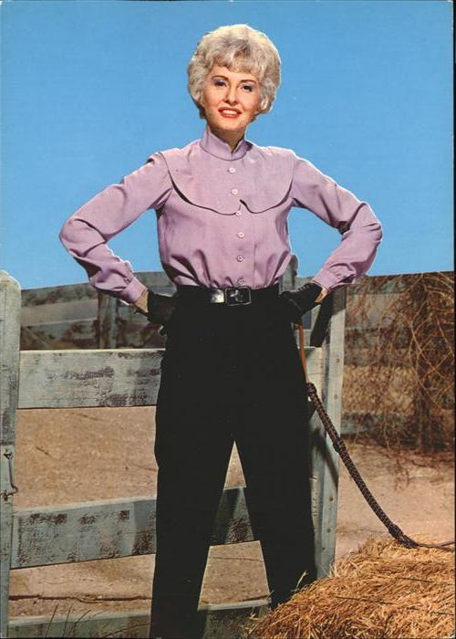 TV Serien Big Valley Victoriy Barkley
