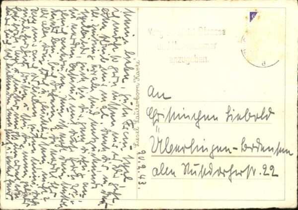 Kuenstlerkarte Liesel Lauterborn Vogel Schmetterlinge – Bild 2