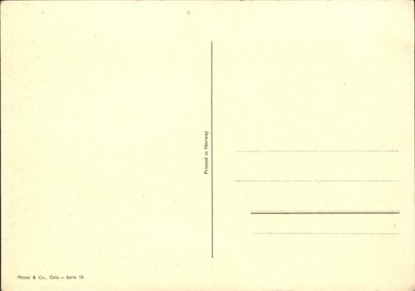 Trachten Hallingdal – Bild 2
