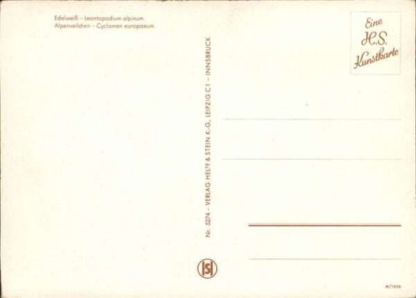 Edelweiss Alpenveilchen Helff und Stein Verlag Nr – Bild 2