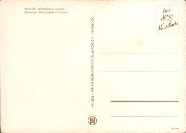 Edelweiss Alpenrose Helff und Stein-Verlag Nr. 52 – Bild 2