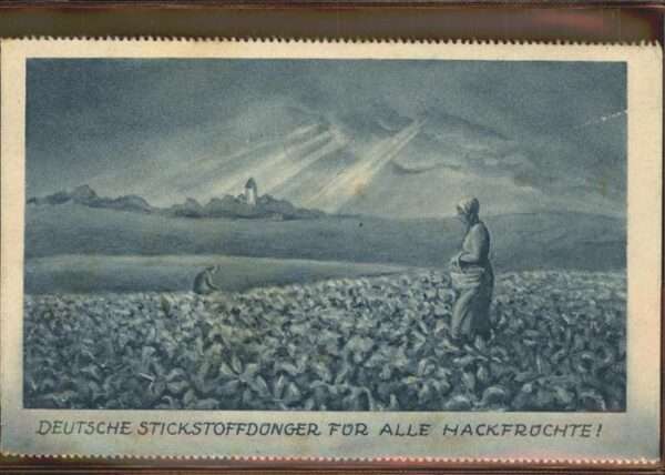 Werbung Reklame Stickstoffdünger Hackfrüchte