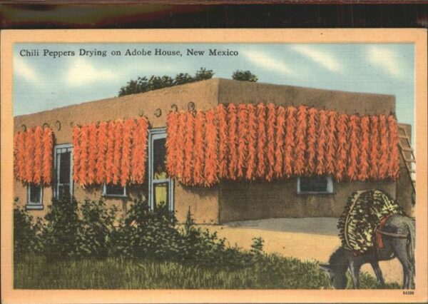 Esel Tiere Chili Peppers Adobe House New Mexico