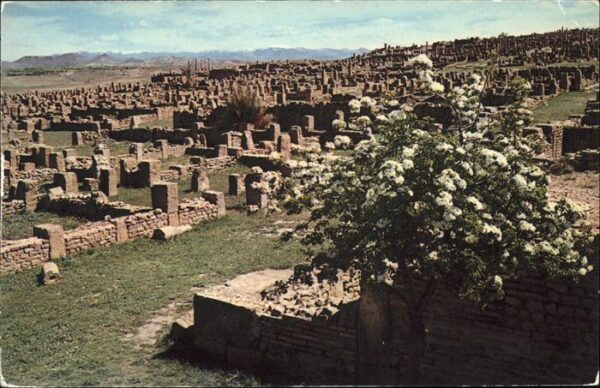 Timgad Les ruines vue generale