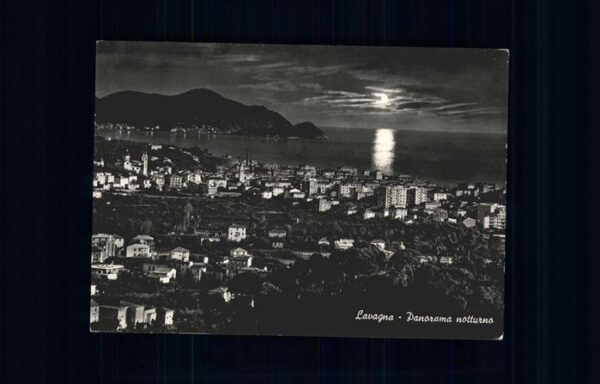 Lavagna Panorama notturna