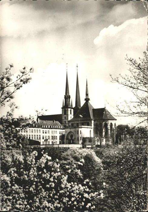 LUXEMBOURG  Luxemburg La Cathedrale Baumblüte