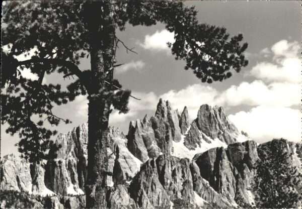 Cortina d Ampezzo Croda da Lago Dolomiti Bergtour Höhenwe