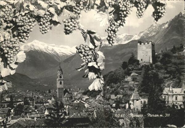 Merano Meran Gesamtansicht Dom Burg Bergpanorama Wei