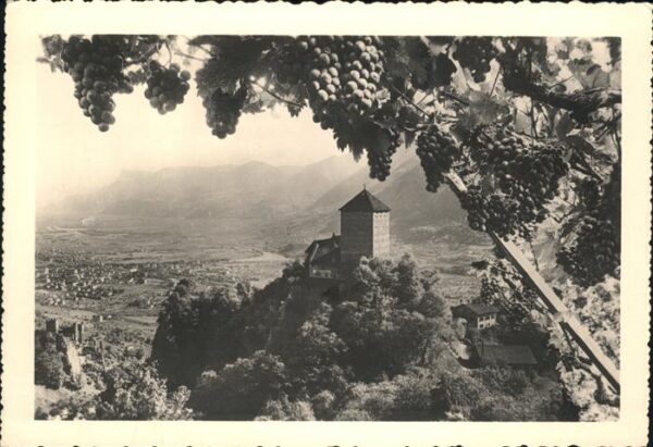 Merano Meran Traubenernte Schloss Tirol