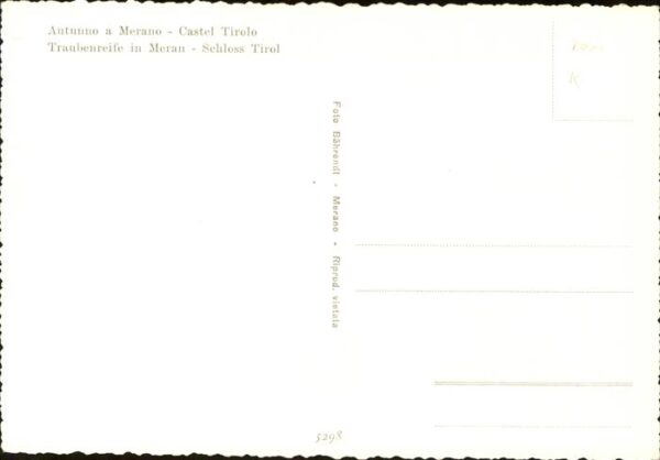 Merano Meran Traubenernte Schloss Tirol – Bild 2