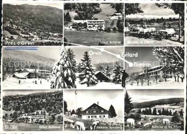 Orvin Bienne Evilard Hotel Bellevue Alphütte