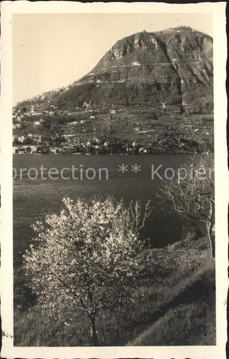 Cavallino-Treporti Blick auf Monte Bre Baumblüte