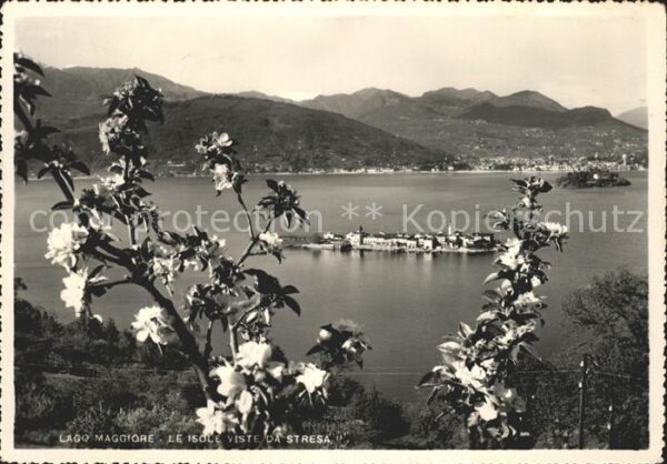 Lago Maggiore Isole viste da Stresa