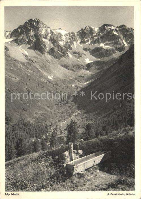 Helvetia Schweiz Alp Mulis