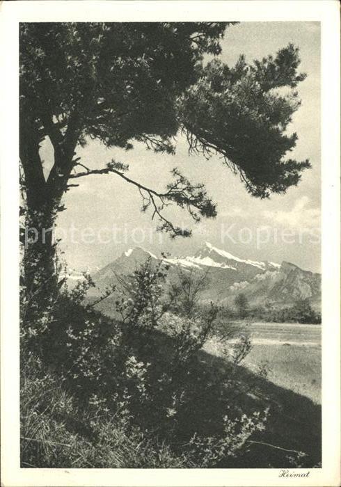 Helvetia Schweiz Heimat