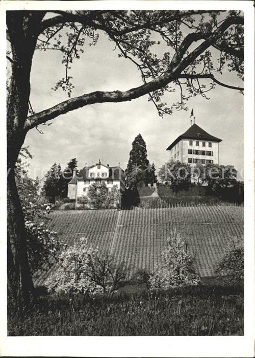 Helvetia Schweiz Schloß Heidegg