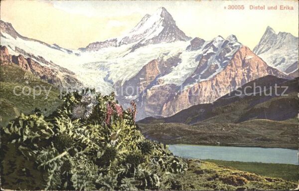 Helvetia Schweiz Künstlerkarte