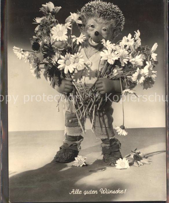 Mecki Nr. 27 Glückwunsch Blumen