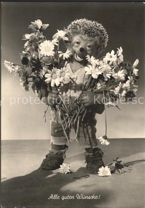 Mecki Nr. 27 Glückwunsch Blumen