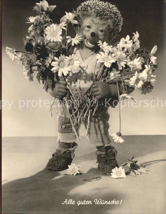 Mecki Nr. 27 Glückwunsch Blumen Margeriten