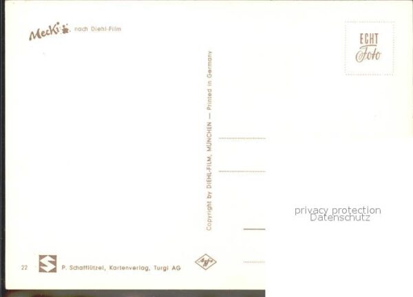 Mecki Nr. 22 Spinne Spinnennetz Blumen – Bild 2