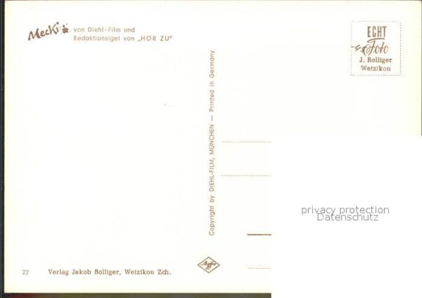 Mecki Nr. 22 Spinne Spinnennetz Blumen – Bild 2