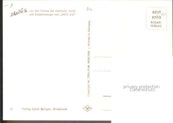 Mecki Nr. 22 Spinne Spinnennetz Blumen – Bild 2