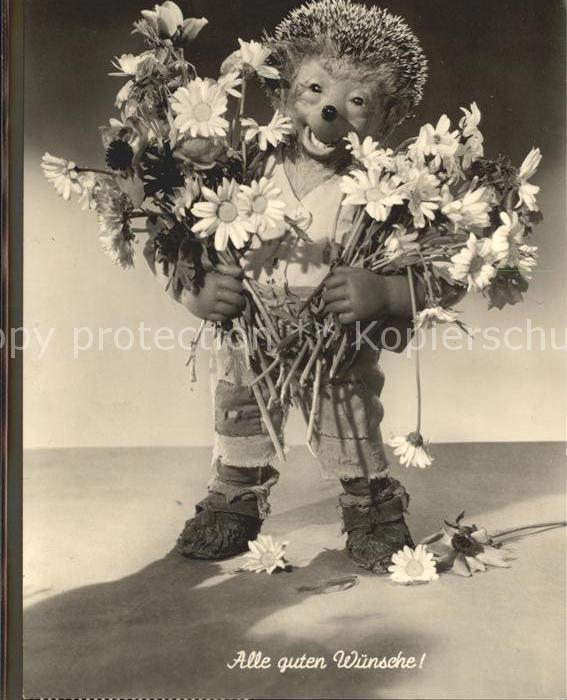 Mecki Nr. 27 Glückwunsch Blumen Margeriten