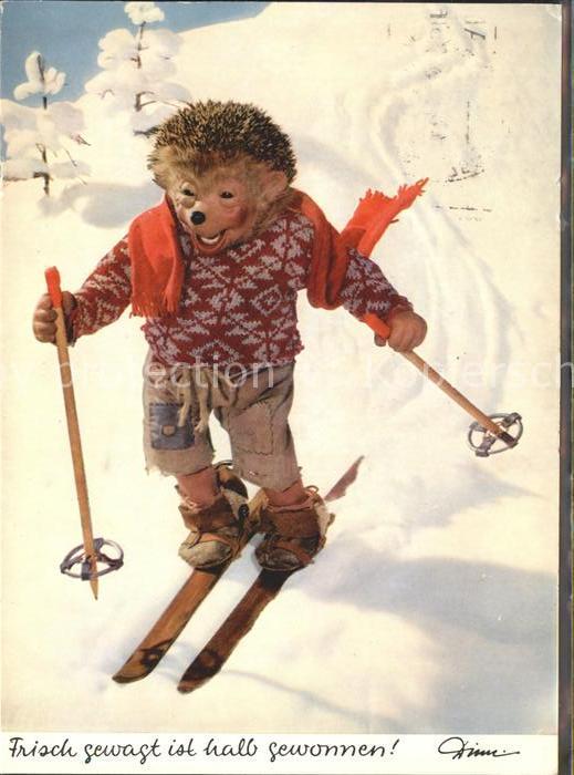 Mecki Nr. 326 Ski Skifahren Schal