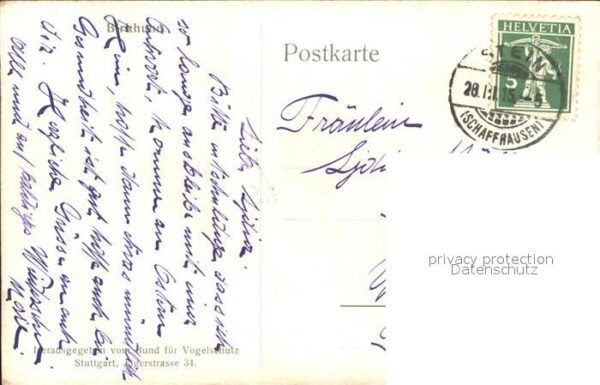 Gefluegel Vögel Birkhühner – Bild 2