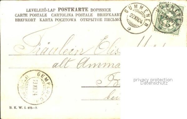 Voegel Schwalben Grüsse – Bild 2