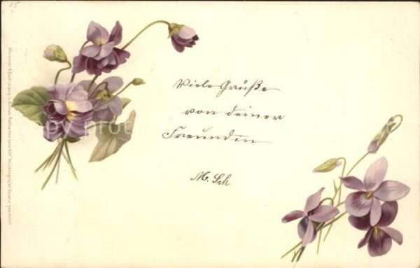 Verlag Meissner und Buch Serie 1026 Blumen Veilchen