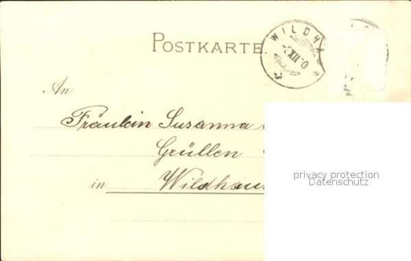 Verlag Meissner und Buch Serie 1026 Blumen Veilchen – Bild 2
