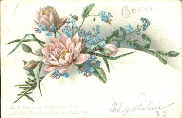 Blumen Veilchen Gruss Gedicht Spruch
